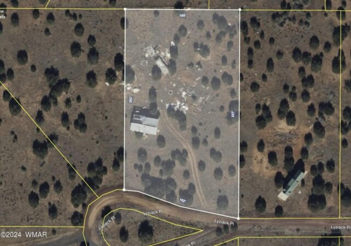 Picture of Residential Land For Sale in Show Low, Arizona, United States