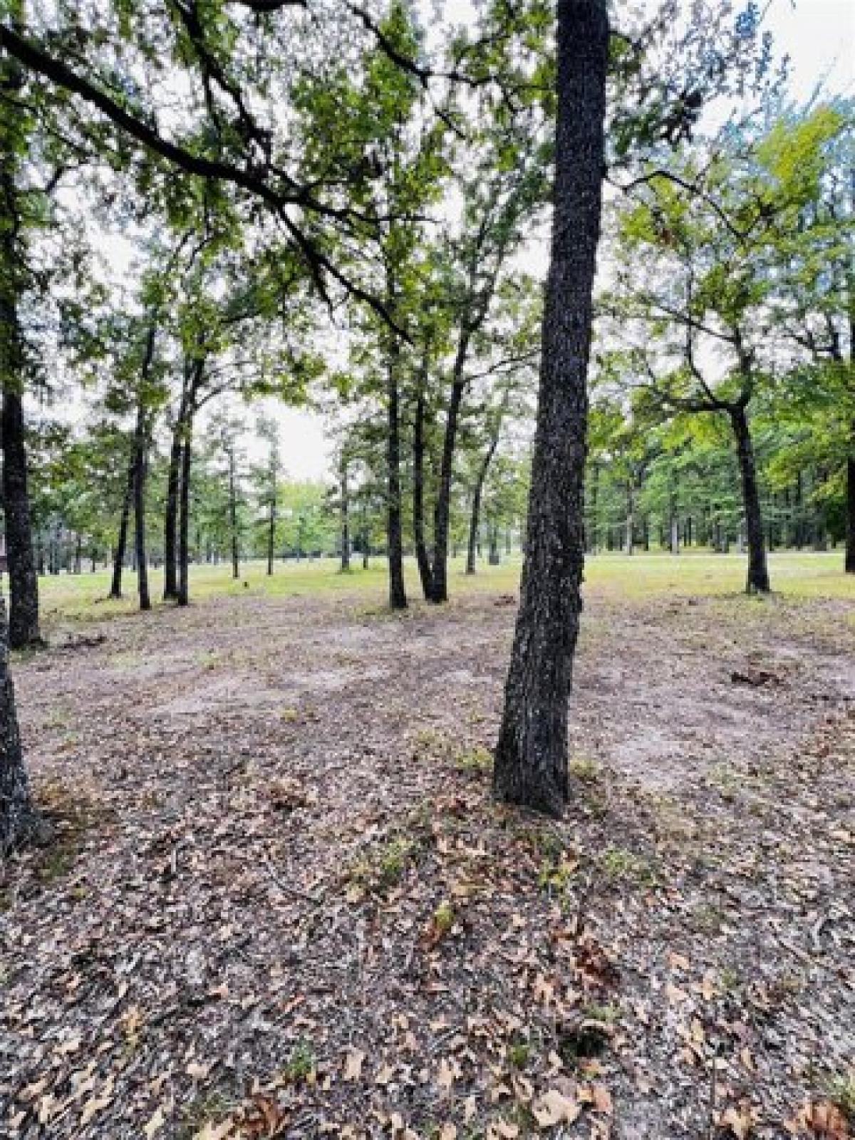 Picture of Residential Land For Sale in Malakoff, Texas, United States