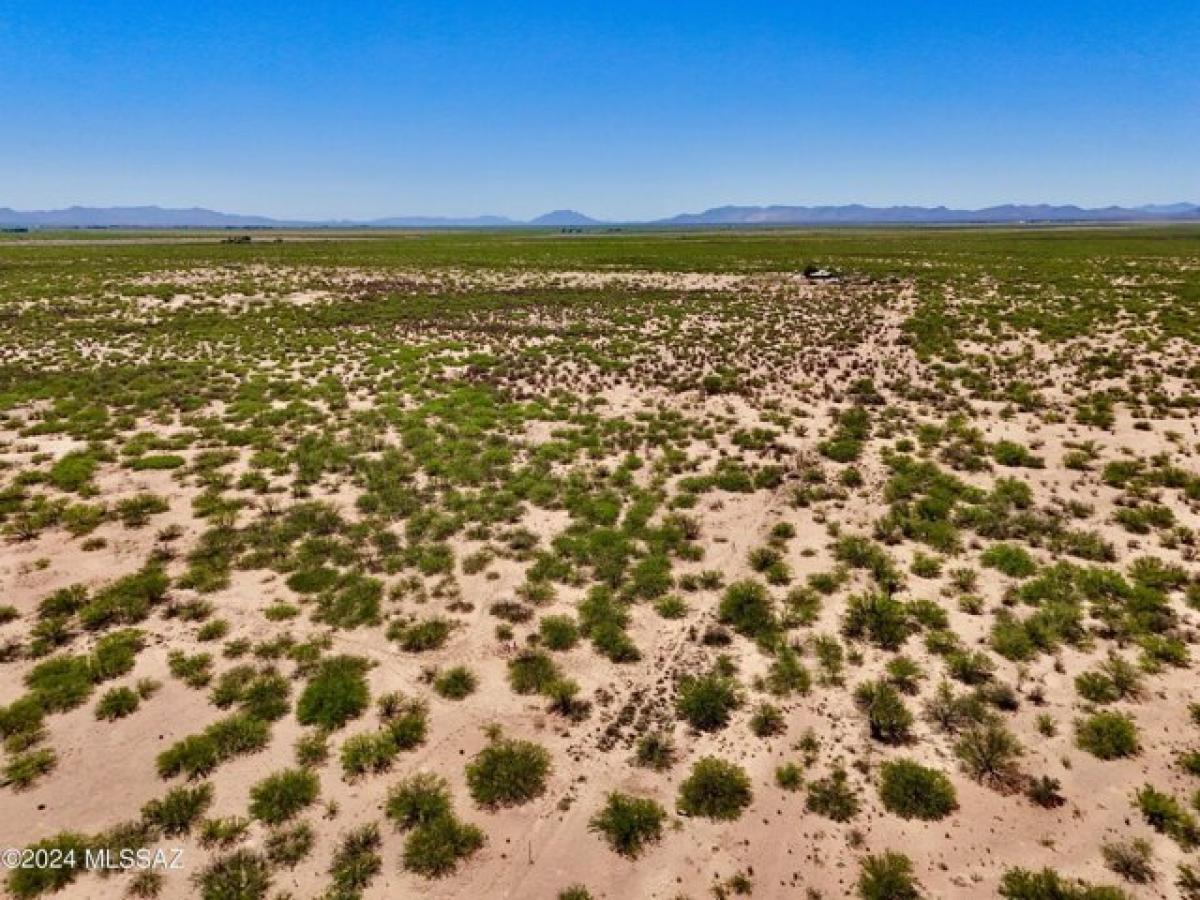 Picture of Residential Land For Sale in Douglas, Arizona, United States