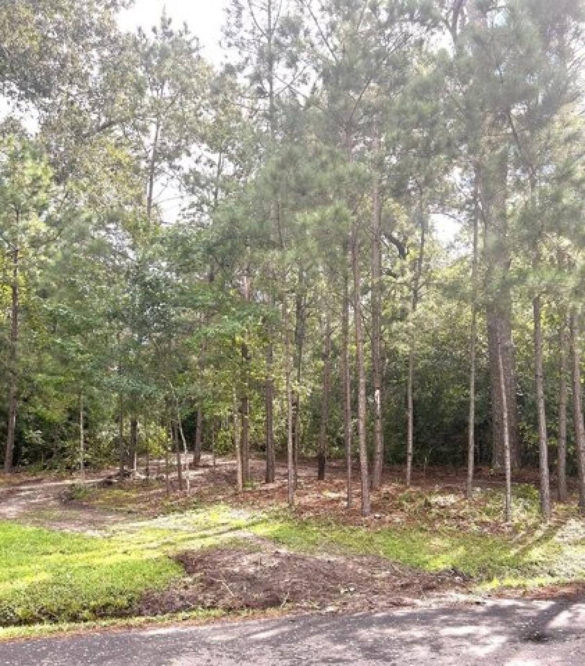 Picture of Residential Land For Sale in Lufkin, Texas, United States