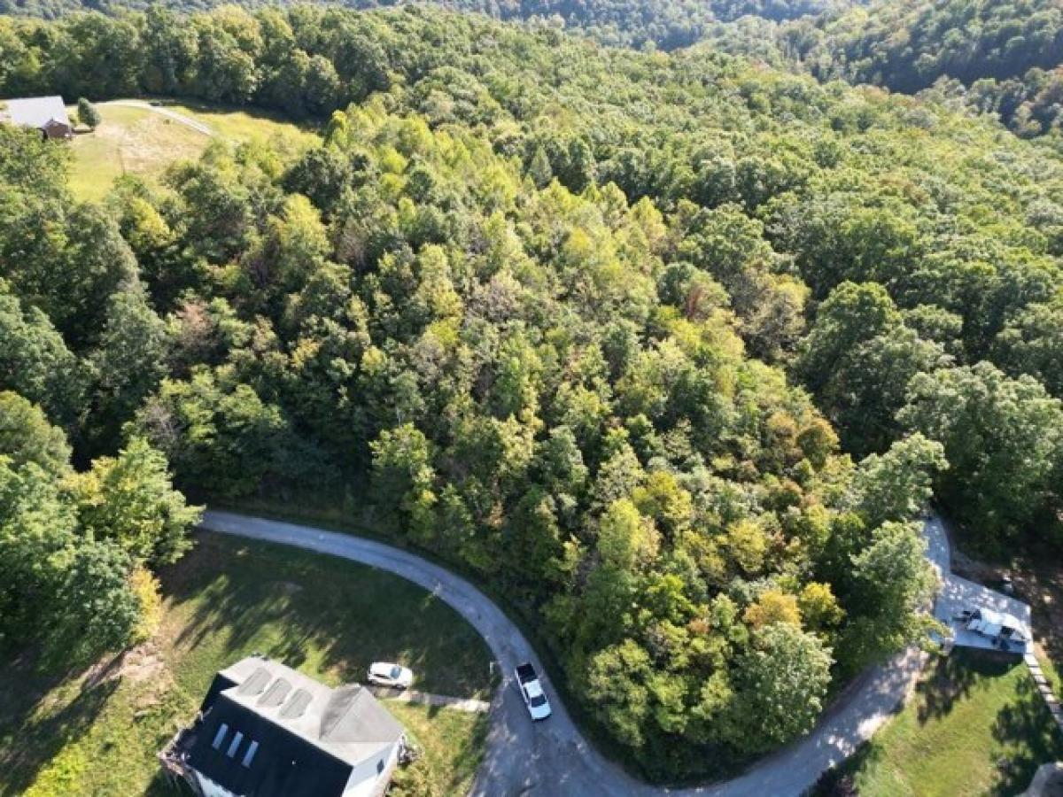 Picture of Residential Land For Sale in Tornado, West Virginia, United States