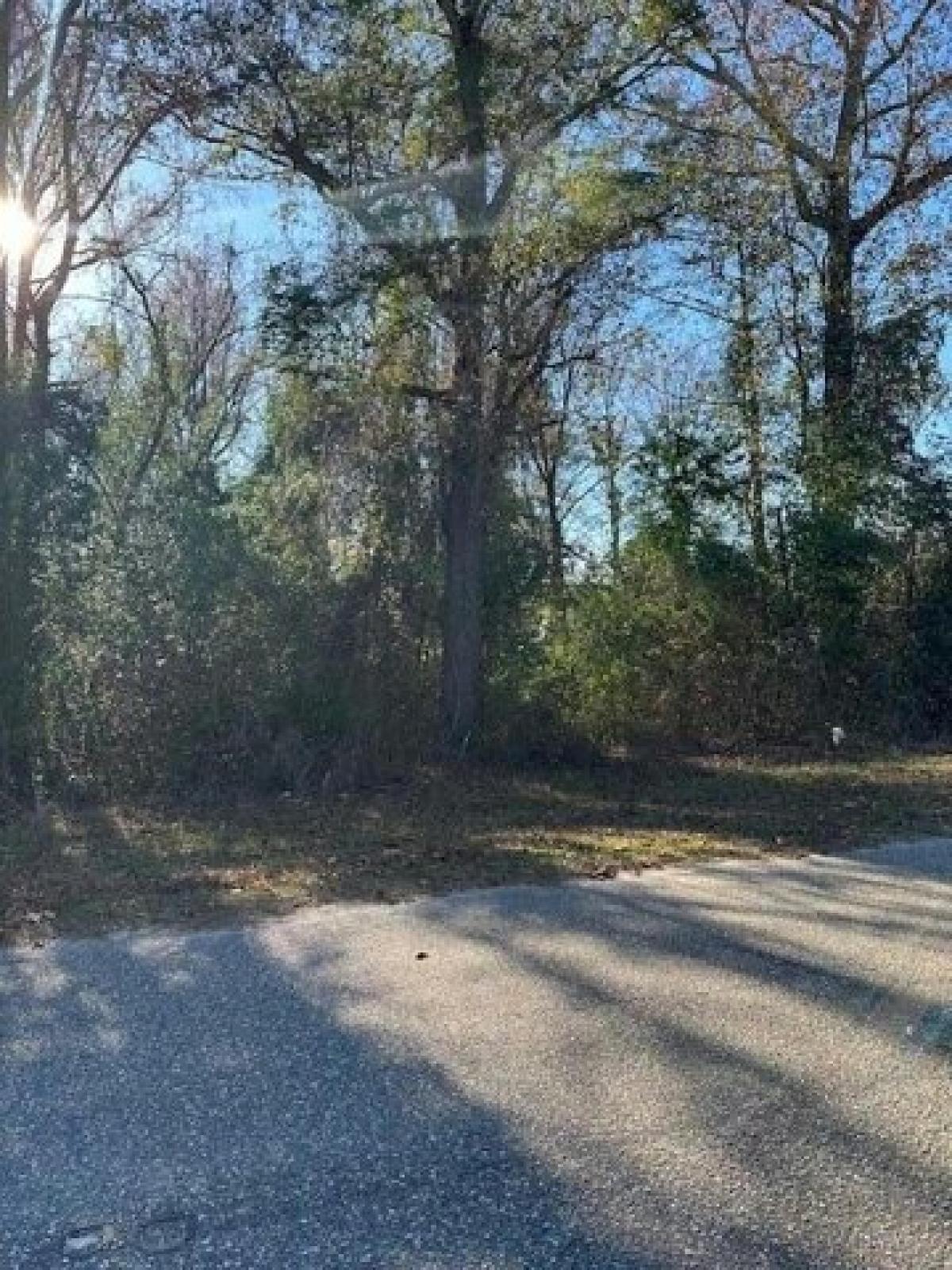 Picture of Residential Land For Sale in Dalzell, South Carolina, United States