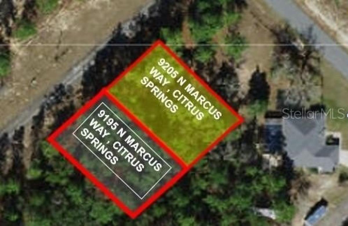 Picture of Residential Land For Sale in Citrus Springs, Florida, United States