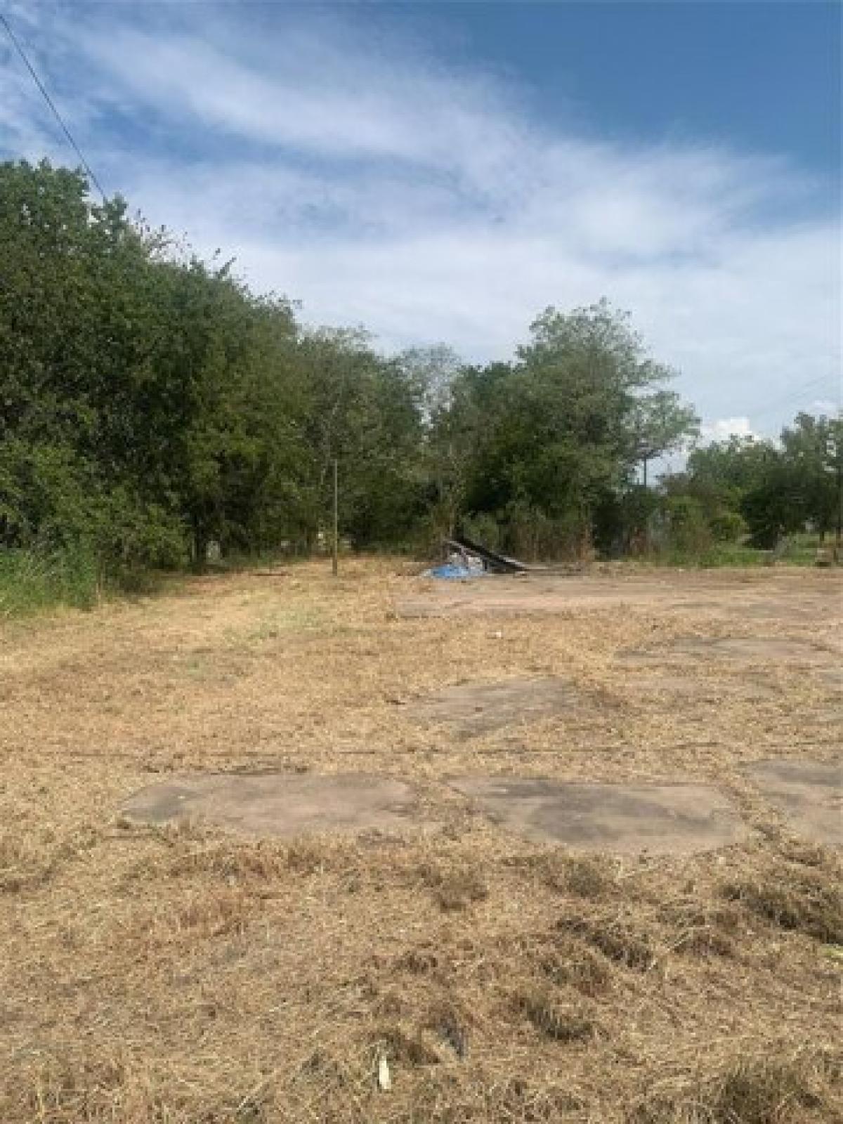 Picture of Residential Land For Sale in Ladonia, Texas, United States