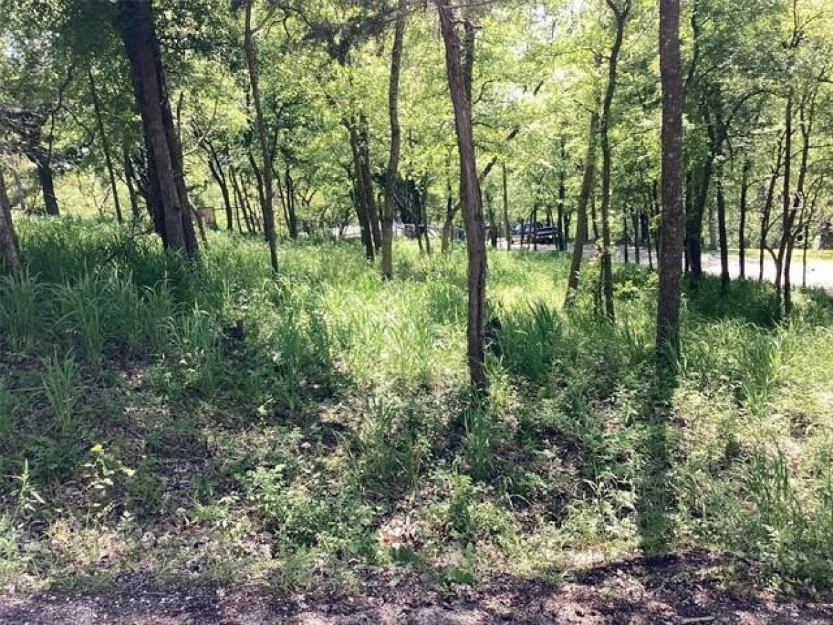 Picture of Residential Land For Rent in Denison, Texas, United States