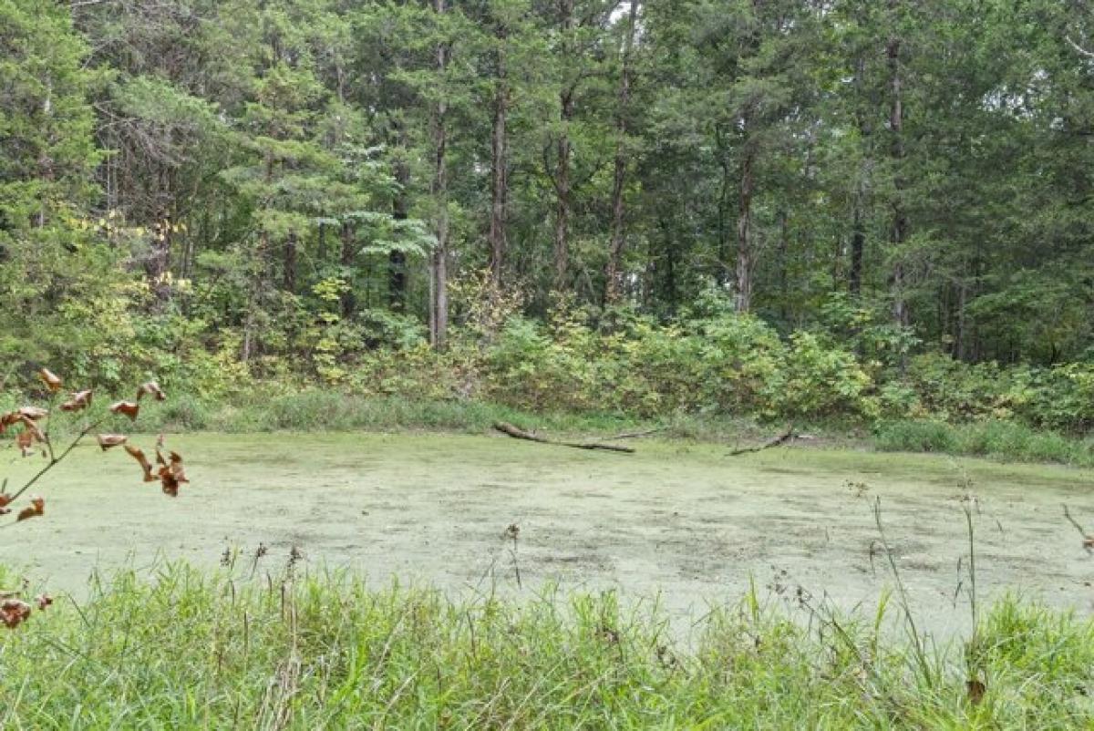 Picture of Residential Land For Sale in Stamping Ground, Kentucky, United States