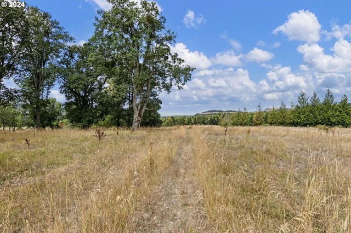 Picture of Residential Land For Sale in Coburg, Oregon, United States