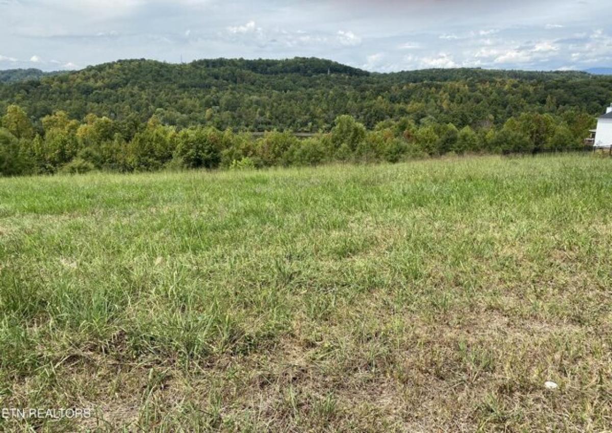 Picture of Residential Land For Sale in Oak Ridge, Tennessee, United States