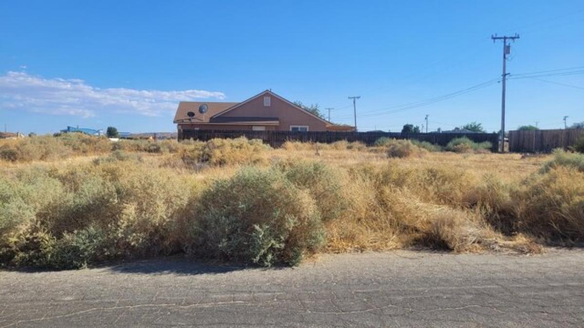 Picture of Residential Land For Sale in California City, California, United States