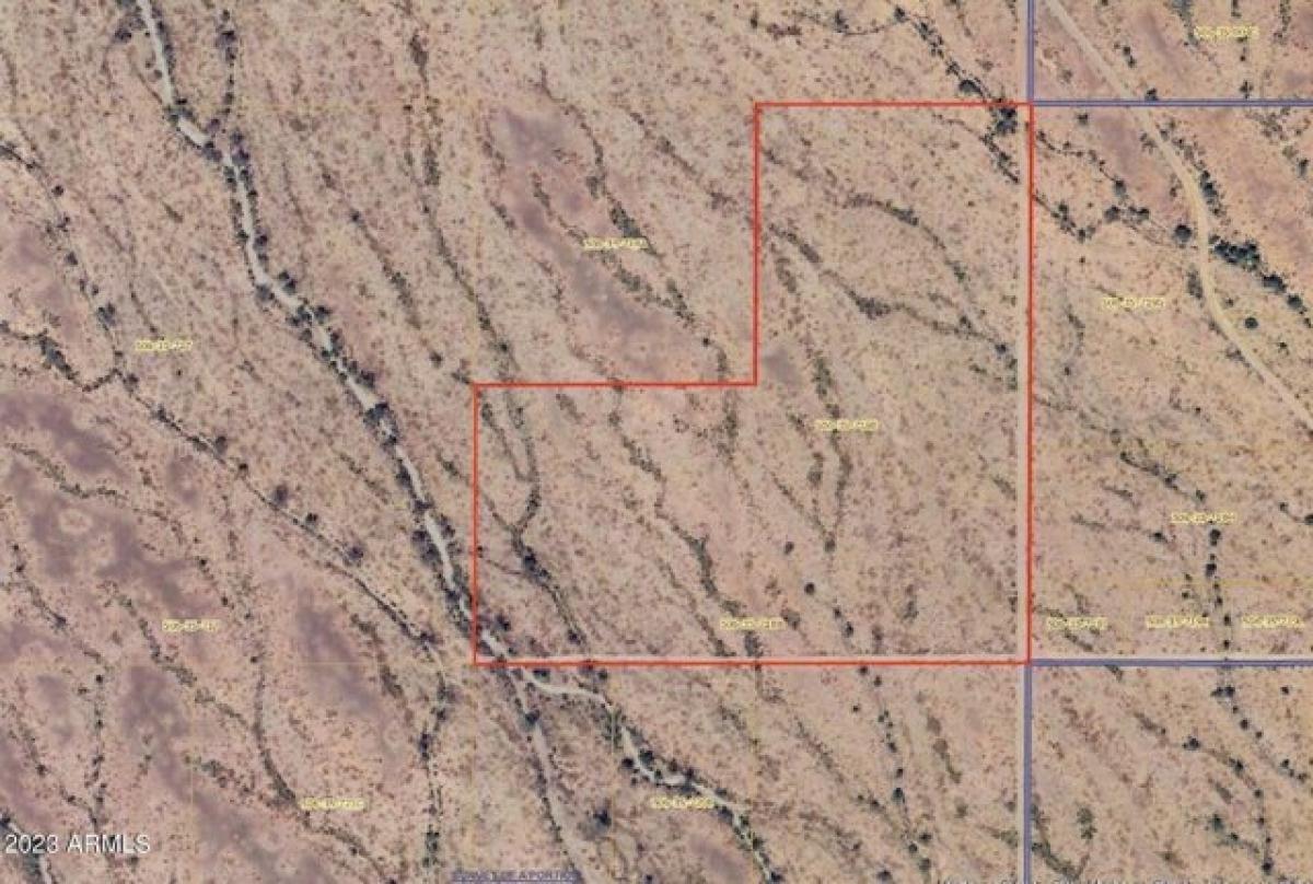 Picture of Residential Land For Sale in Tonopah, Arizona, United States