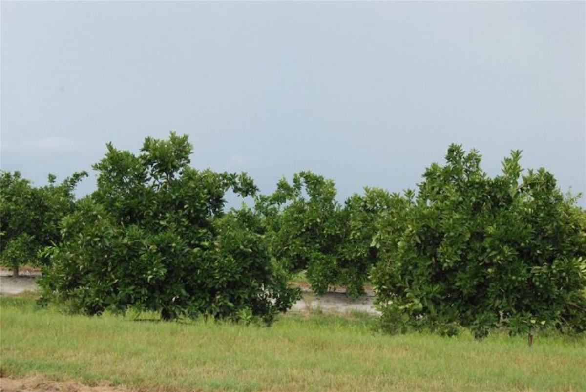 Picture of Residential Land For Sale in Arcadia, Florida, United States