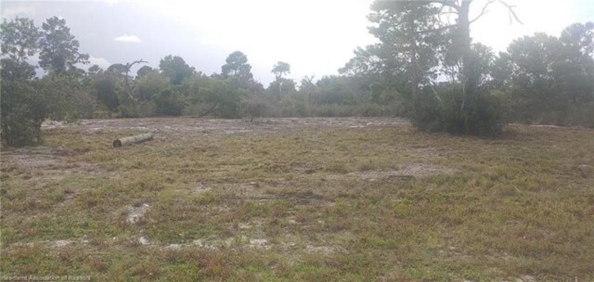 Picture of Residential Land For Sale in Lake Placid, Florida, United States