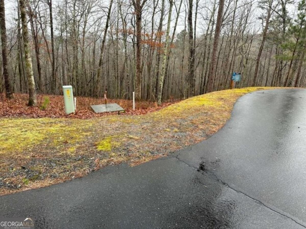 Picture of Residential Land For Sale in Ellijay, Georgia, United States