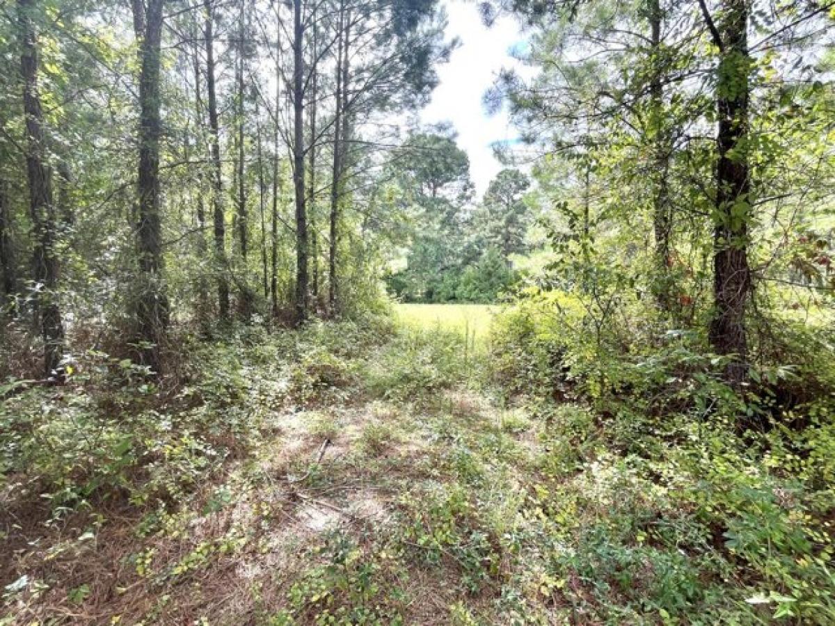 Picture of Residential Land For Sale in Keysville, Georgia, United States