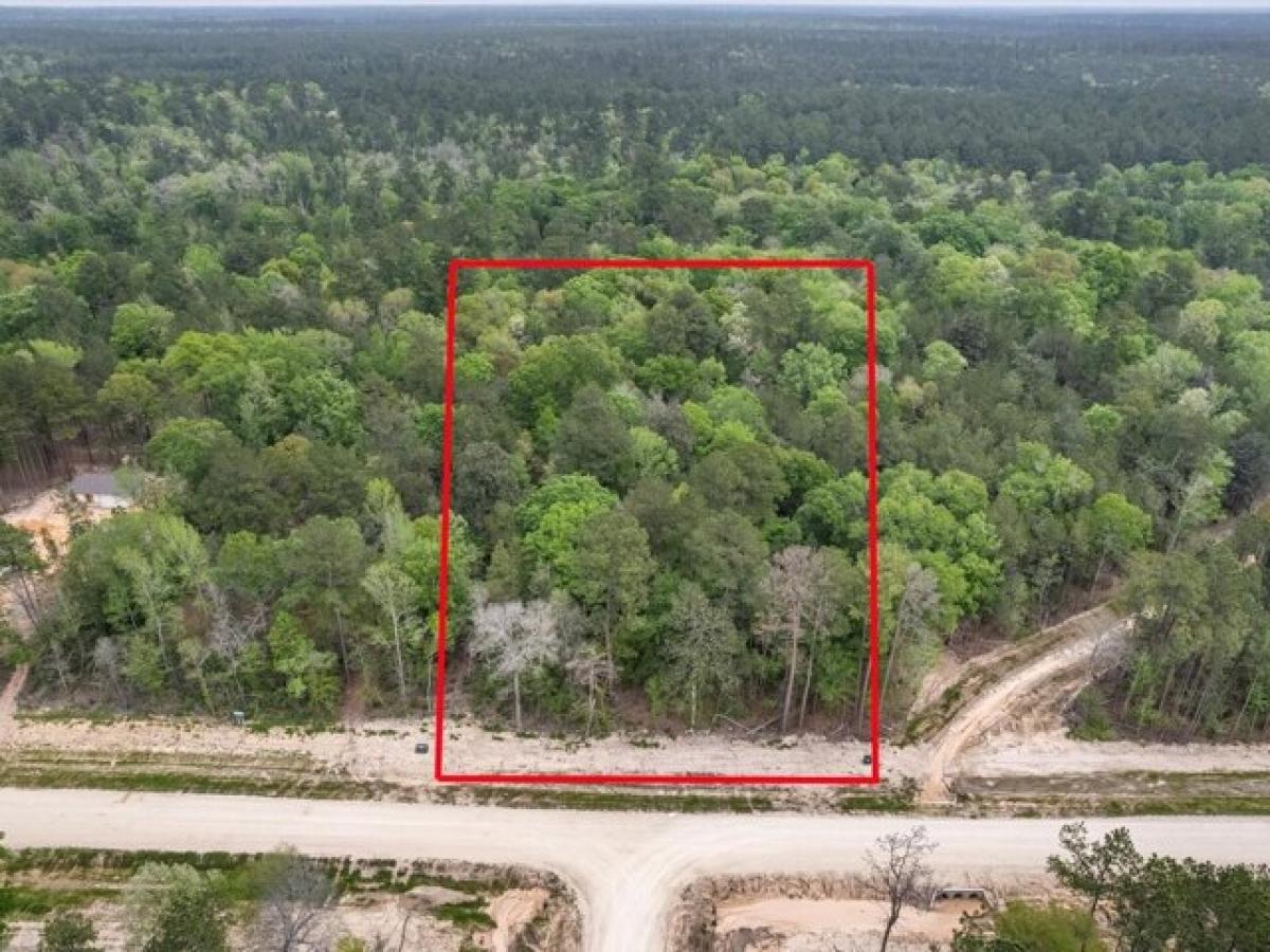 Picture of Residential Land For Sale in Willis, Texas, United States