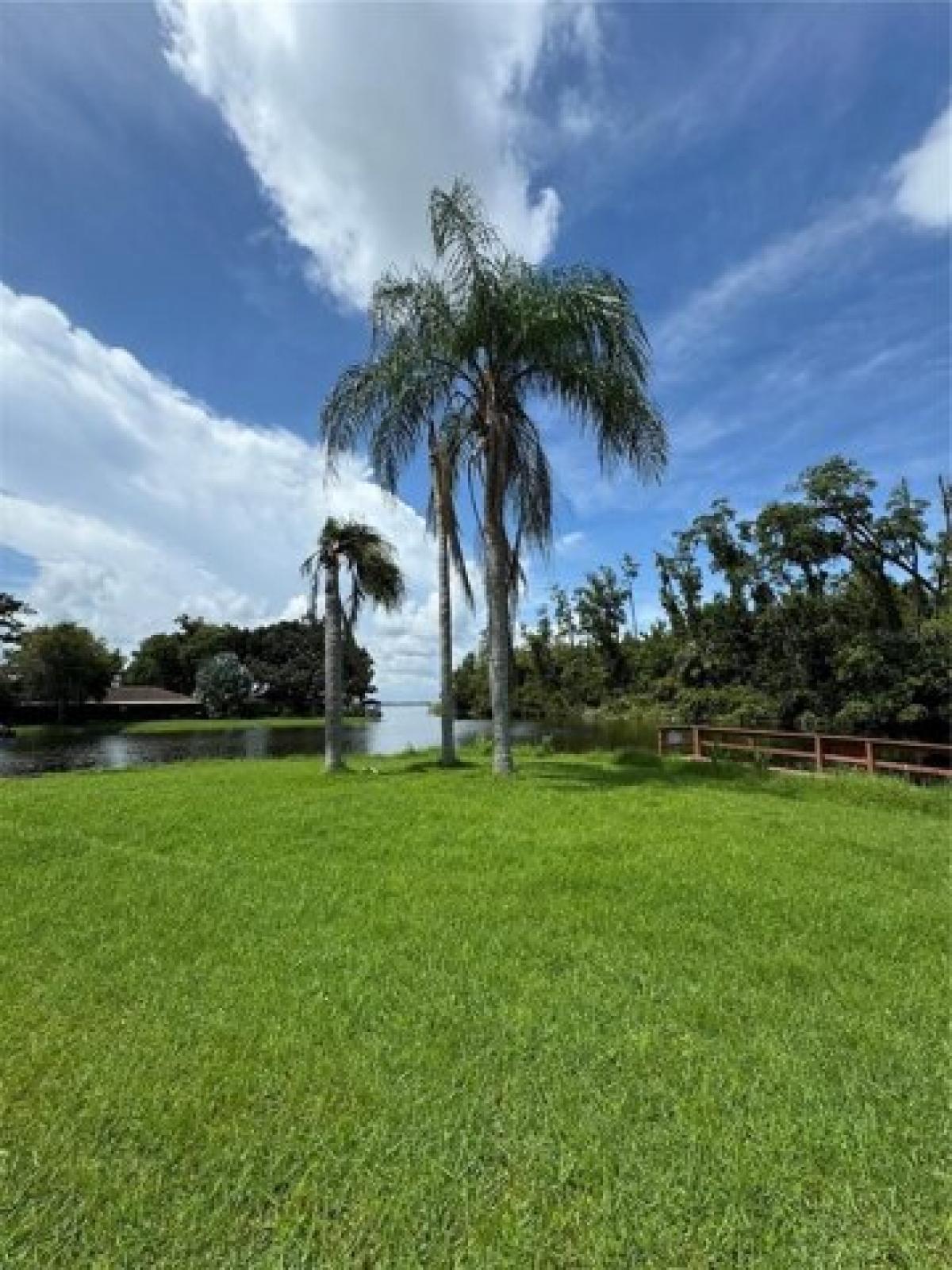 Picture of Residential Land For Sale in Tavares, Florida, United States