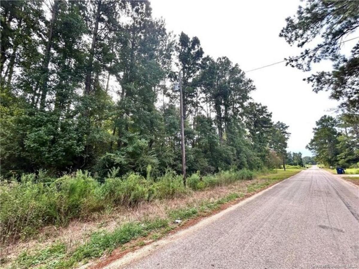 Picture of Residential Land For Sale in Deridder, Louisiana, United States