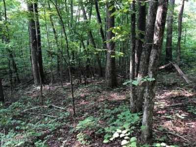 Residential Land For Sale in Thorn Hill, Tennessee