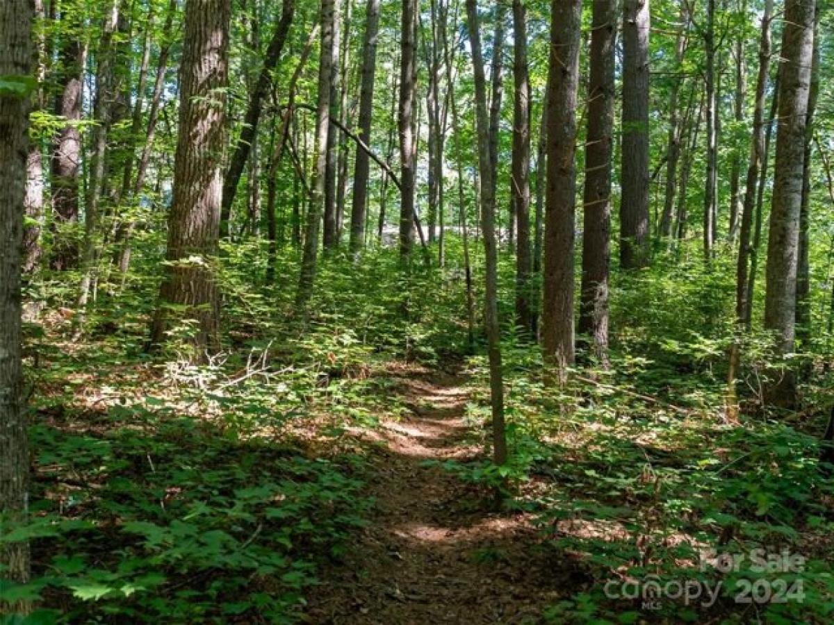 Picture of Residential Land For Sale in Arden, North Carolina, United States