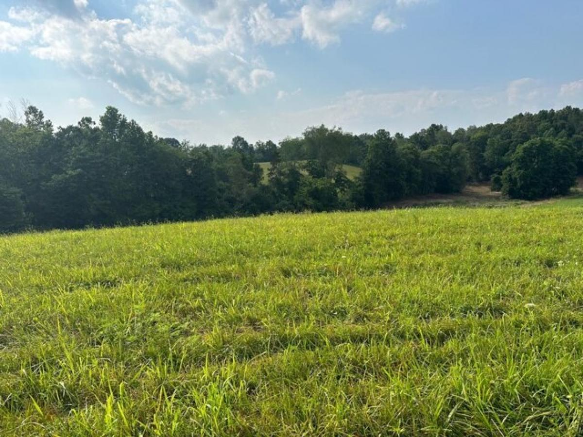 Picture of Residential Land For Sale in Albany, Kentucky, United States