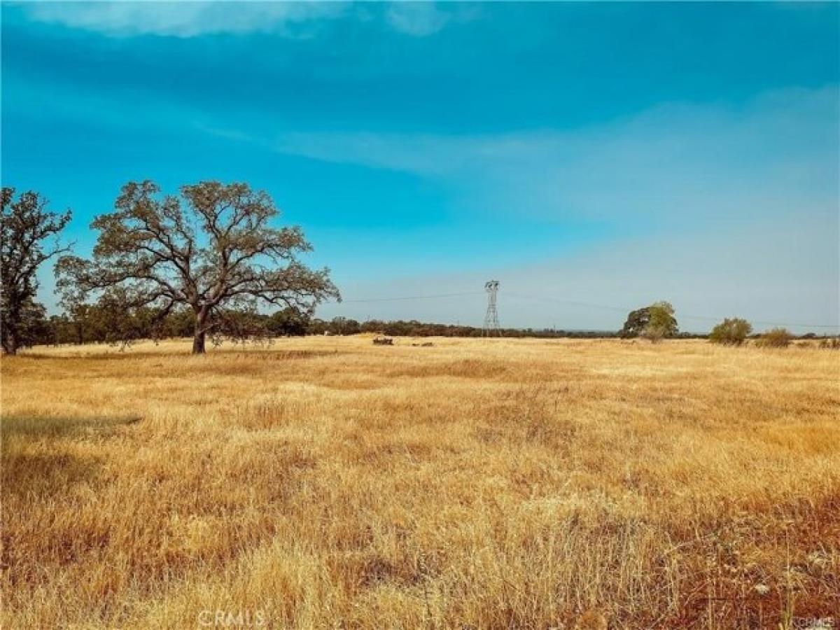 Picture of Residential Land For Sale in Chico, California, United States