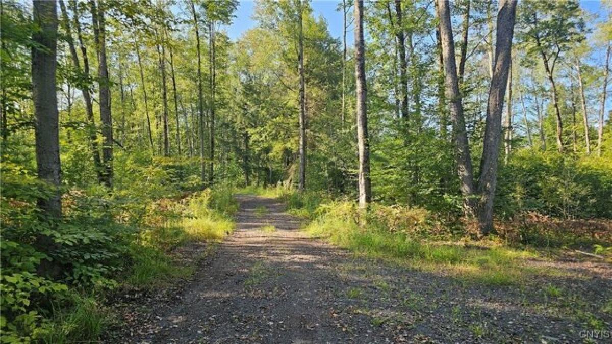 Picture of Residential Land For Sale in Rome, New York, United States