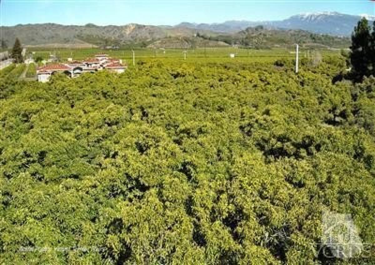 Picture of Residential Land For Sale in Santa Paula, California, United States