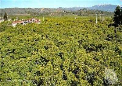 Residential Land For Sale in Santa Paula, California