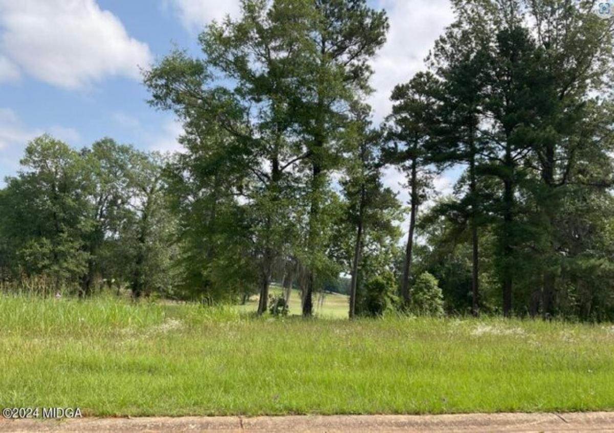 Picture of Residential Land For Sale in Hawkinsville, Georgia, United States