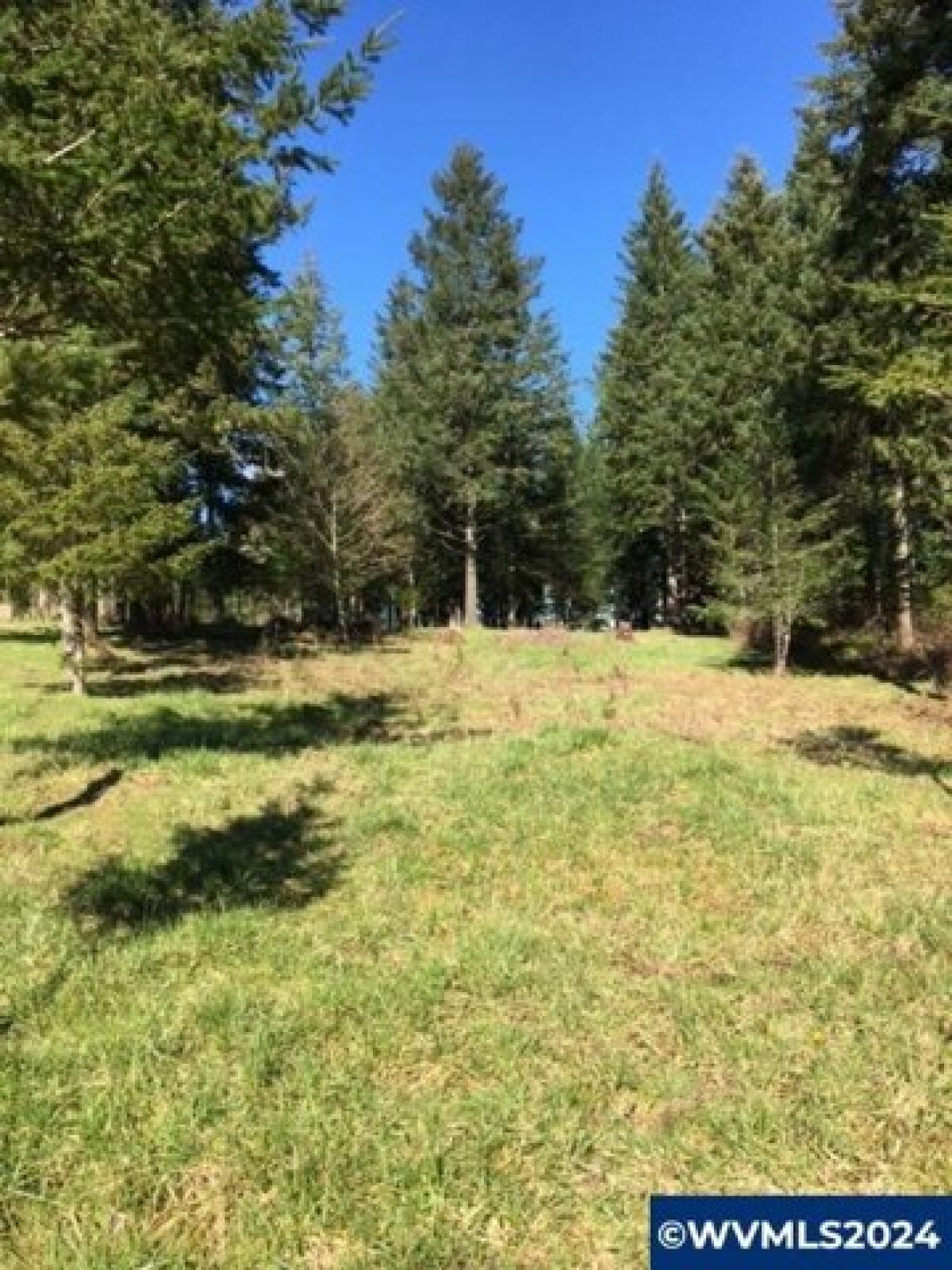 Picture of Residential Land For Sale in Lebanon, Oregon, United States