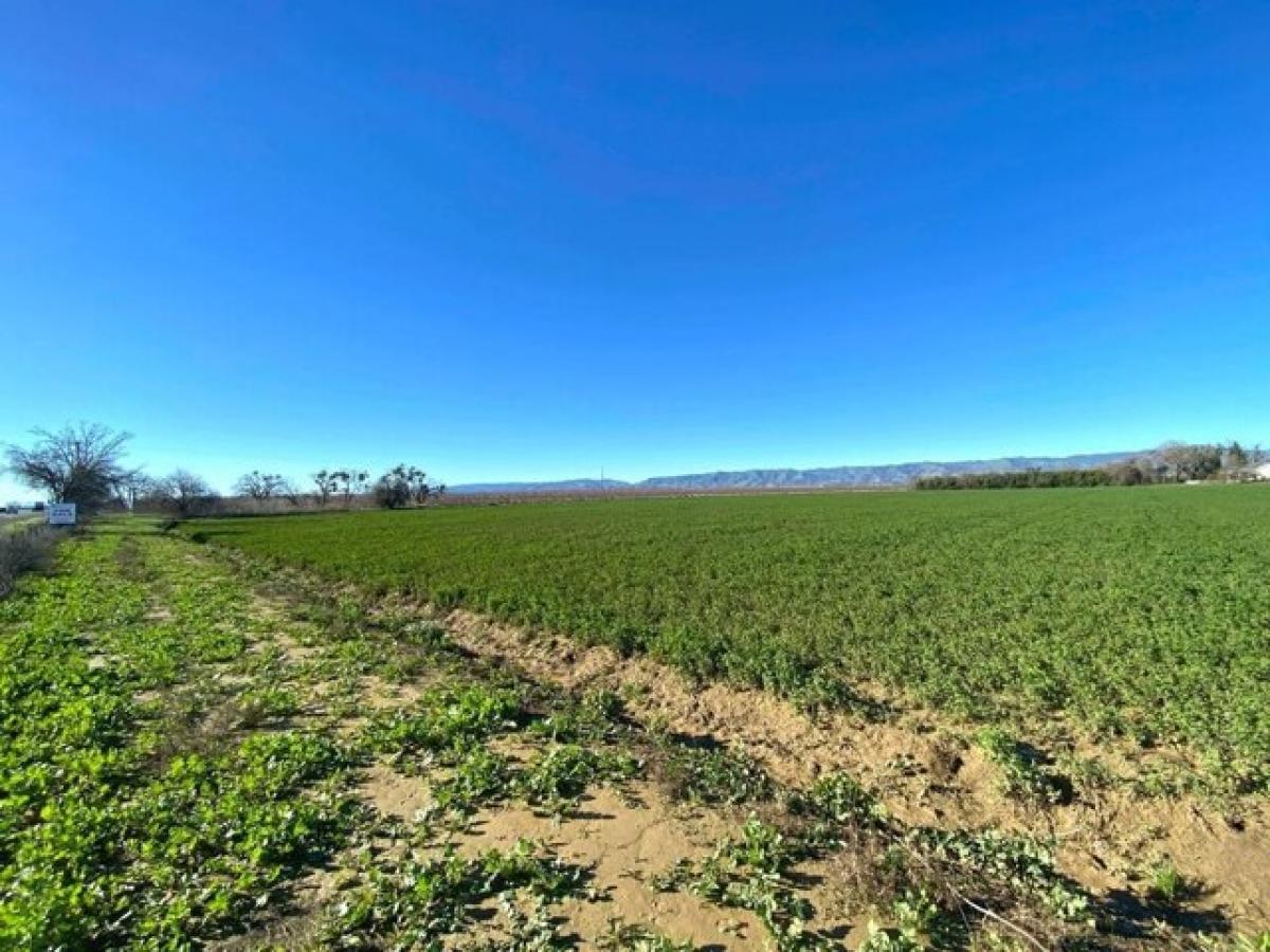 Picture of Residential Land For Sale in Winters, California, United States