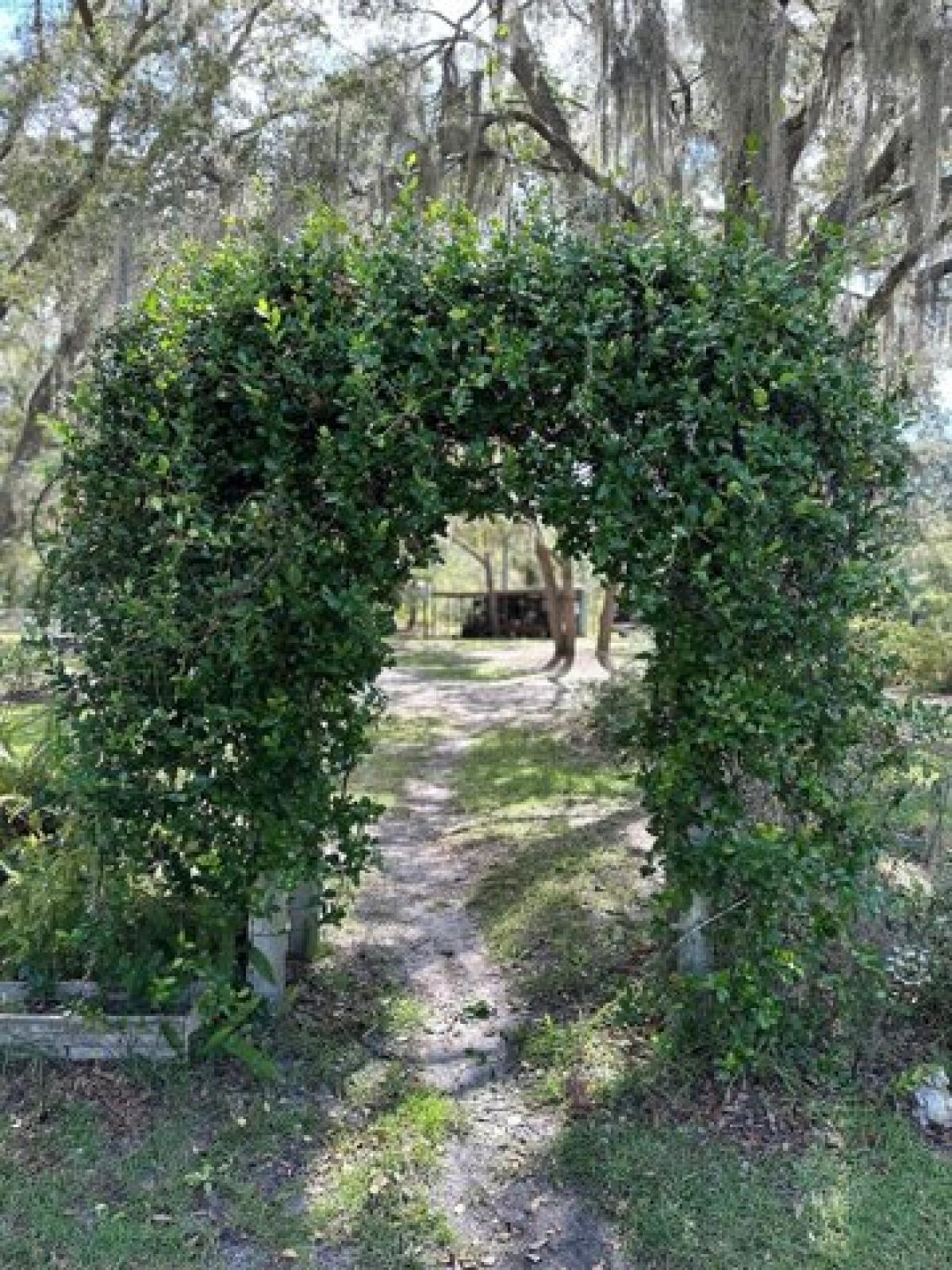 Picture of Home For Sale in Cross City, Florida, United States