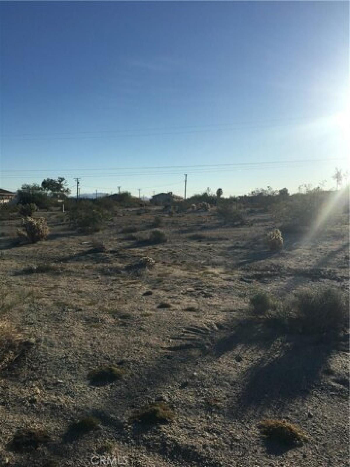 Picture of Residential Land For Sale in Twentynine Palms, California, United States