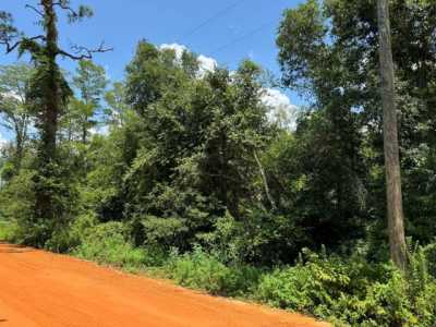 Residential Land For Sale in Marianna, Florida