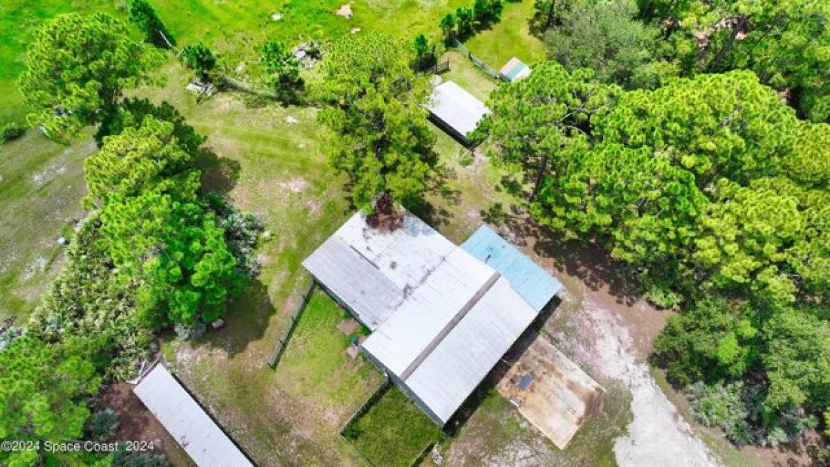 Picture of Home For Sale in Fellsmere, Florida, United States