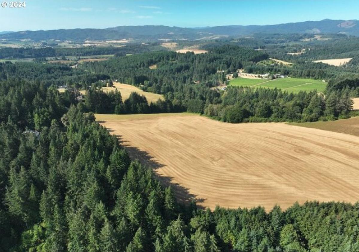 Picture of Residential Land For Sale in Banks, Oregon, United States