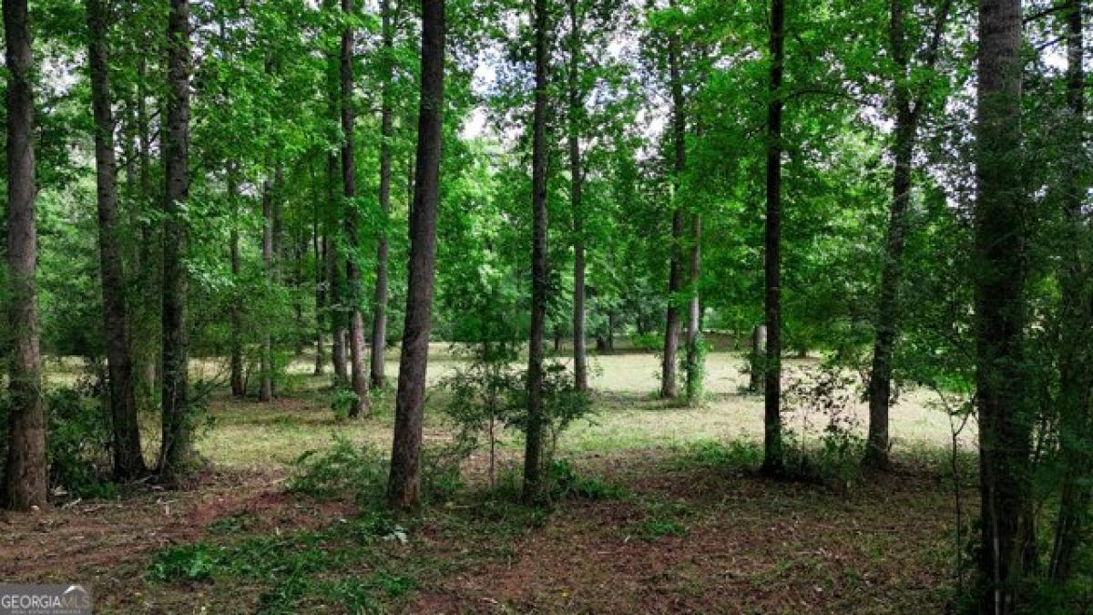 Picture of Residential Land For Sale in Tallapoosa, Georgia, United States