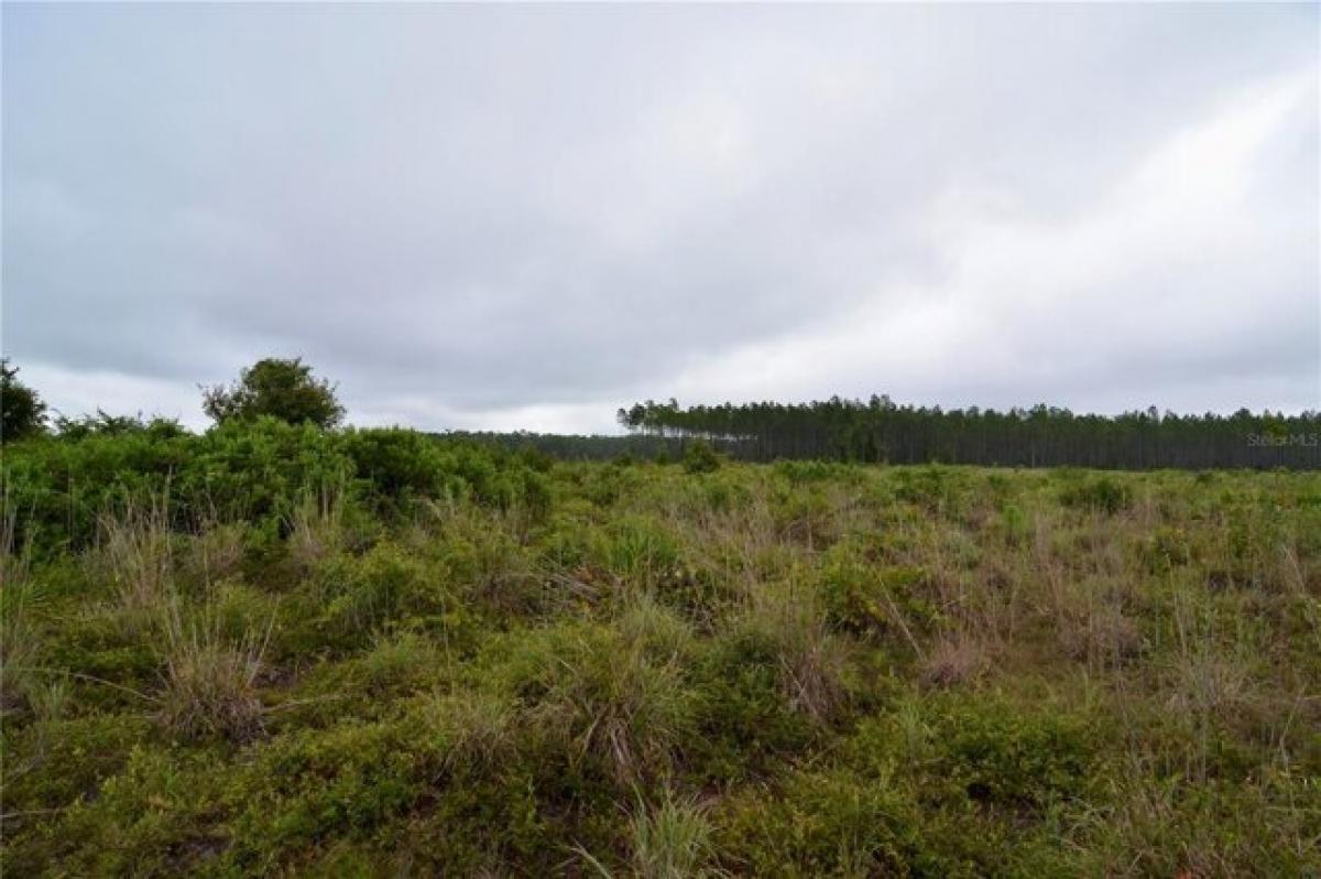 Picture of Residential Land For Sale in Lake City, Florida, United States