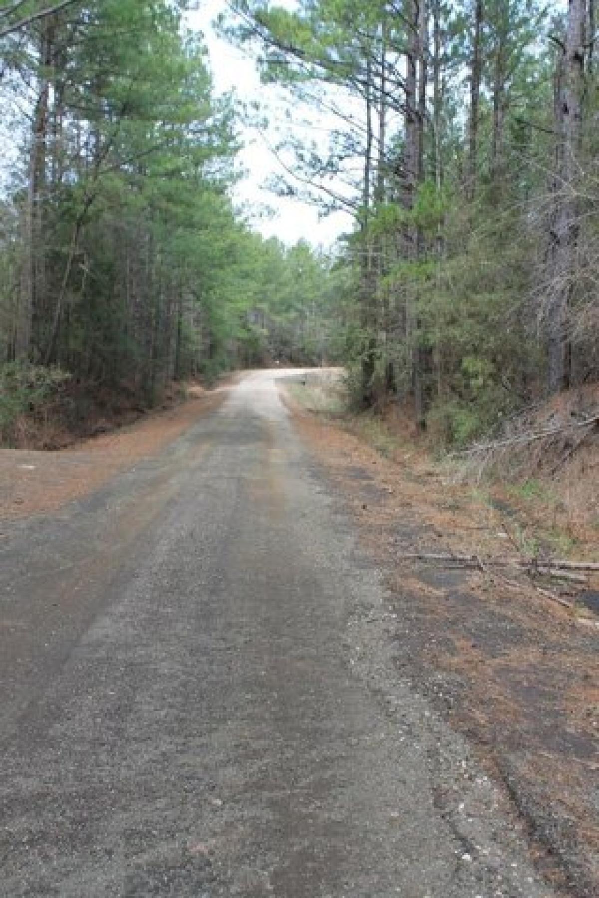 Picture of Residential Land For Sale in San Augustine, Texas, United States