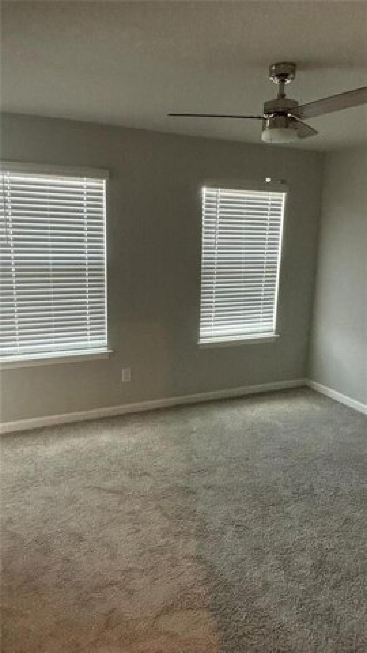 Picture of Home For Rent in Lutz, Florida, United States