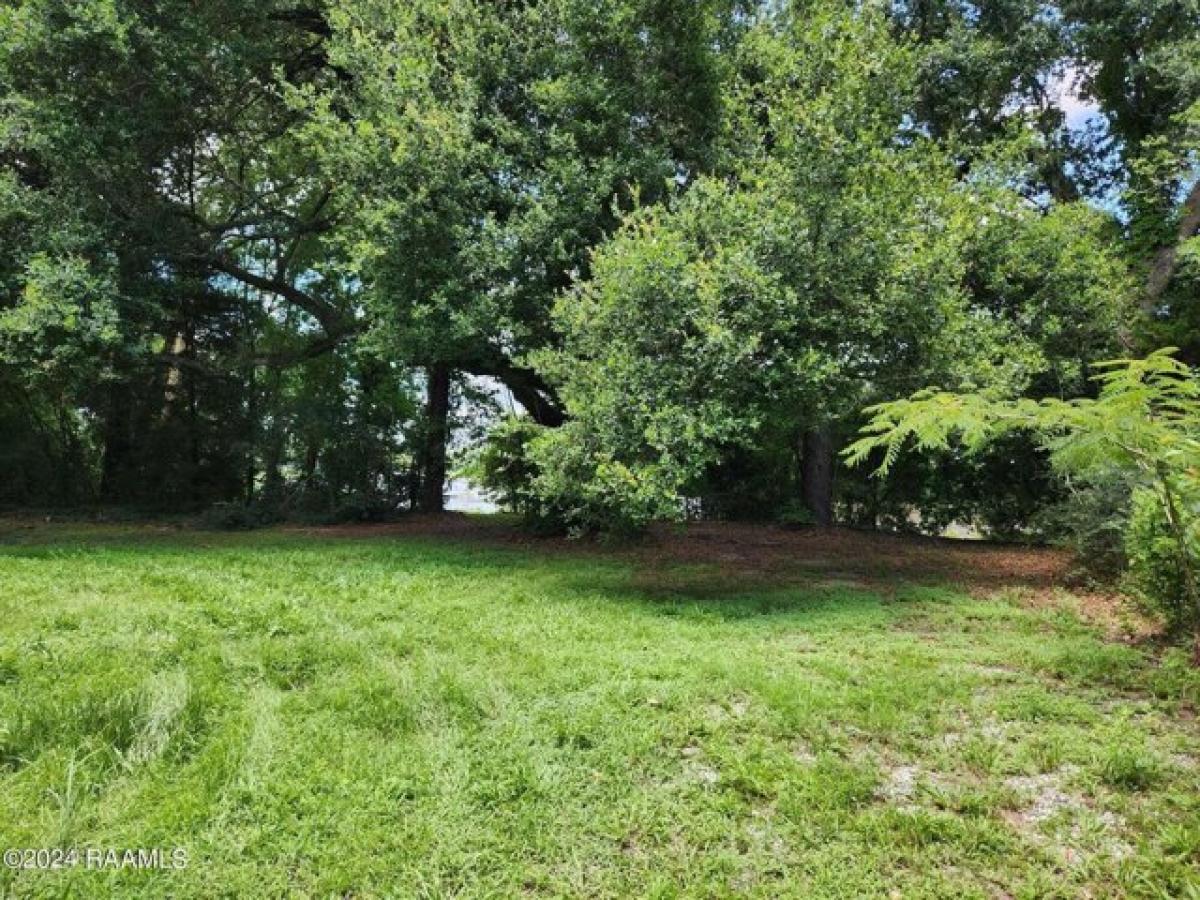 Picture of Residential Land For Sale in Abbeville, Louisiana, United States