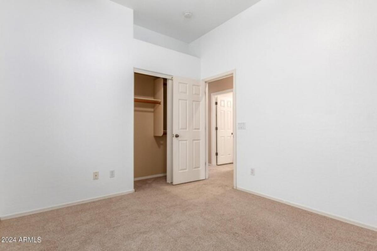 Picture of Home For Rent in Chandler, Arizona, United States