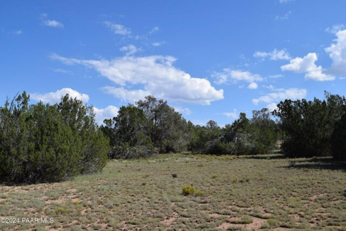 Picture of Residential Land For Sale in Seligman, Arizona, United States