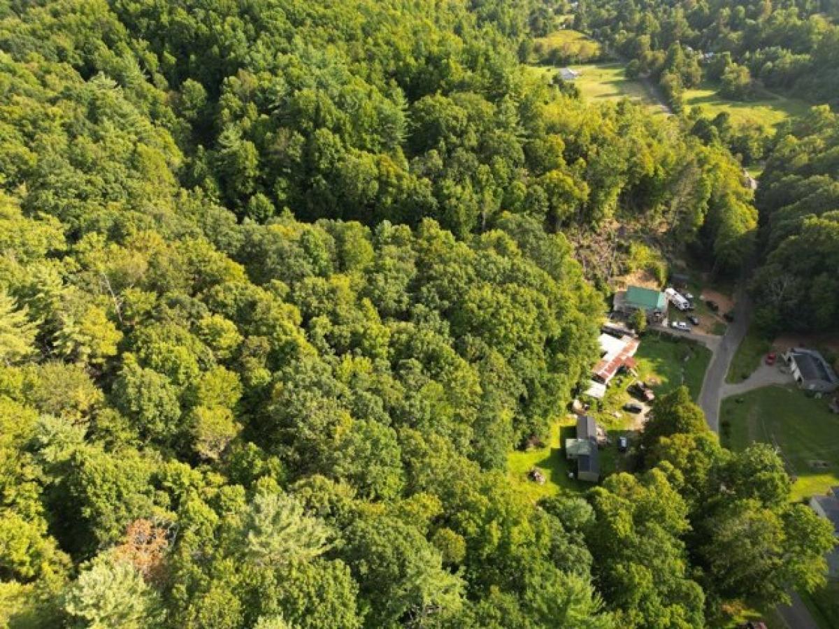 Picture of Residential Land For Sale in Mountain City, Tennessee, United States