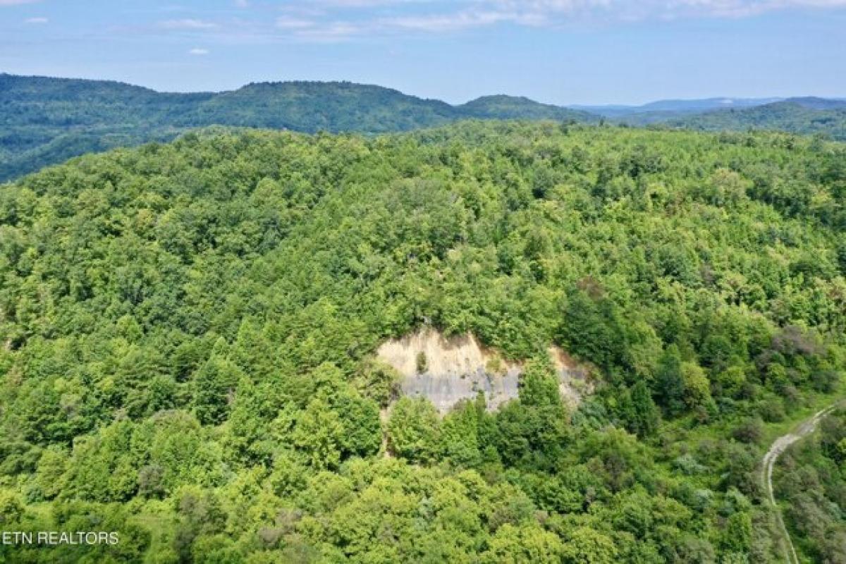 Picture of Residential Land For Sale in Duff, Tennessee, United States