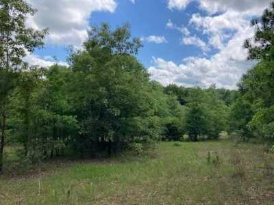 Residential Land For Sale in Waynesboro, Georgia