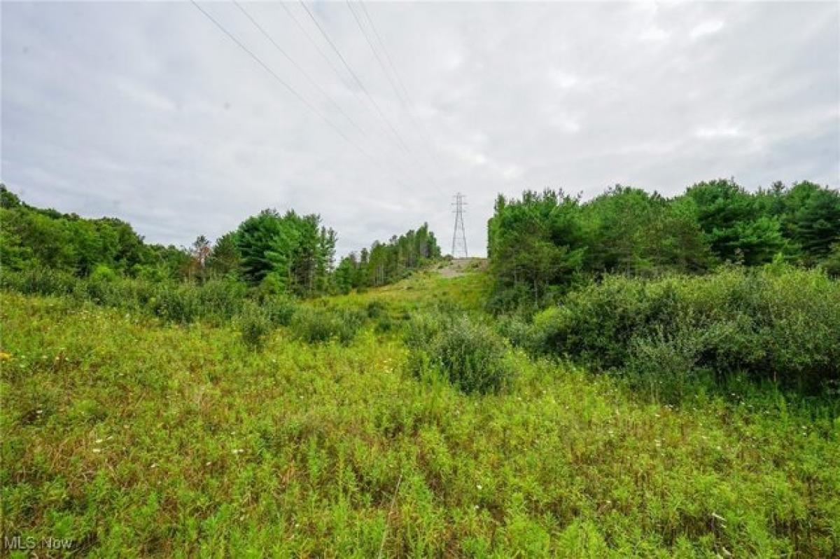 Picture of Residential Land For Sale in Roseville, Ohio, United States