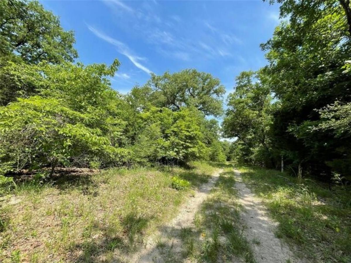 Picture of Residential Land For Sale in Fairfield, Texas, United States