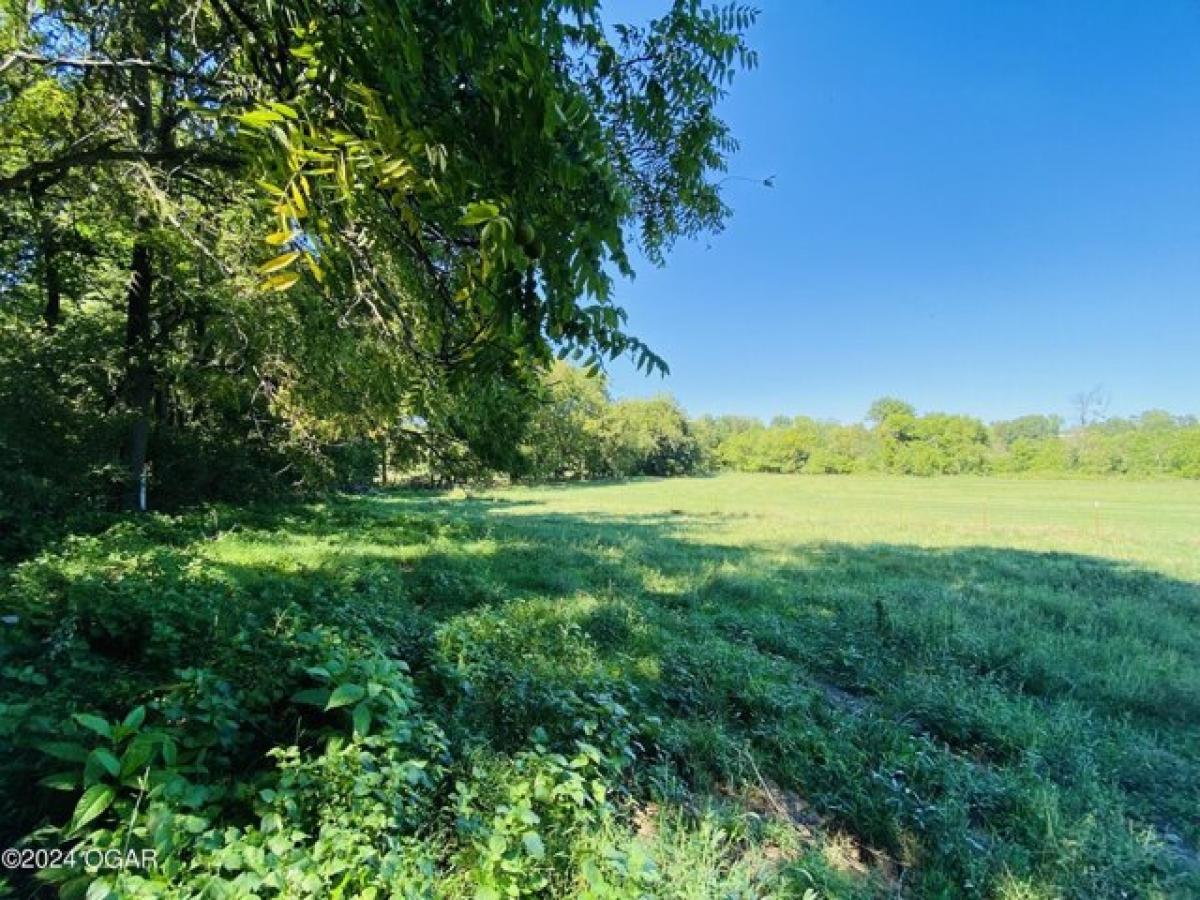 Picture of Residential Land For Sale in Stella, Missouri, United States