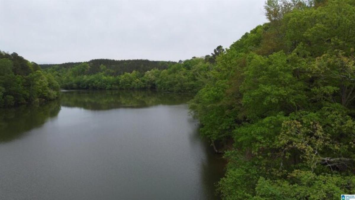 Picture of Residential Land For Sale in Bremen, Alabama, United States